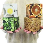 Alumna designs food for the future_listing_SD