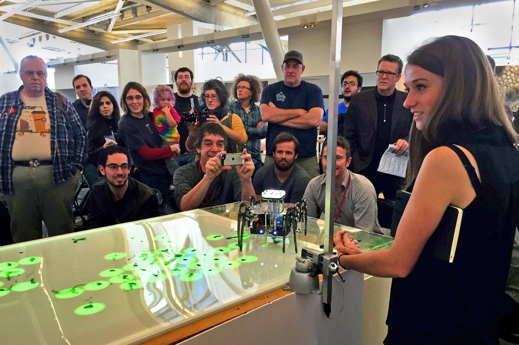 A crowd watches as a small robot walks on a screen displaying small green dots.