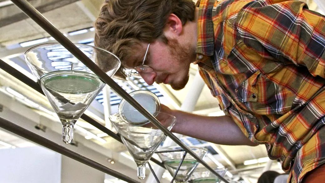 A man sniffing a row of suspended glass jars.