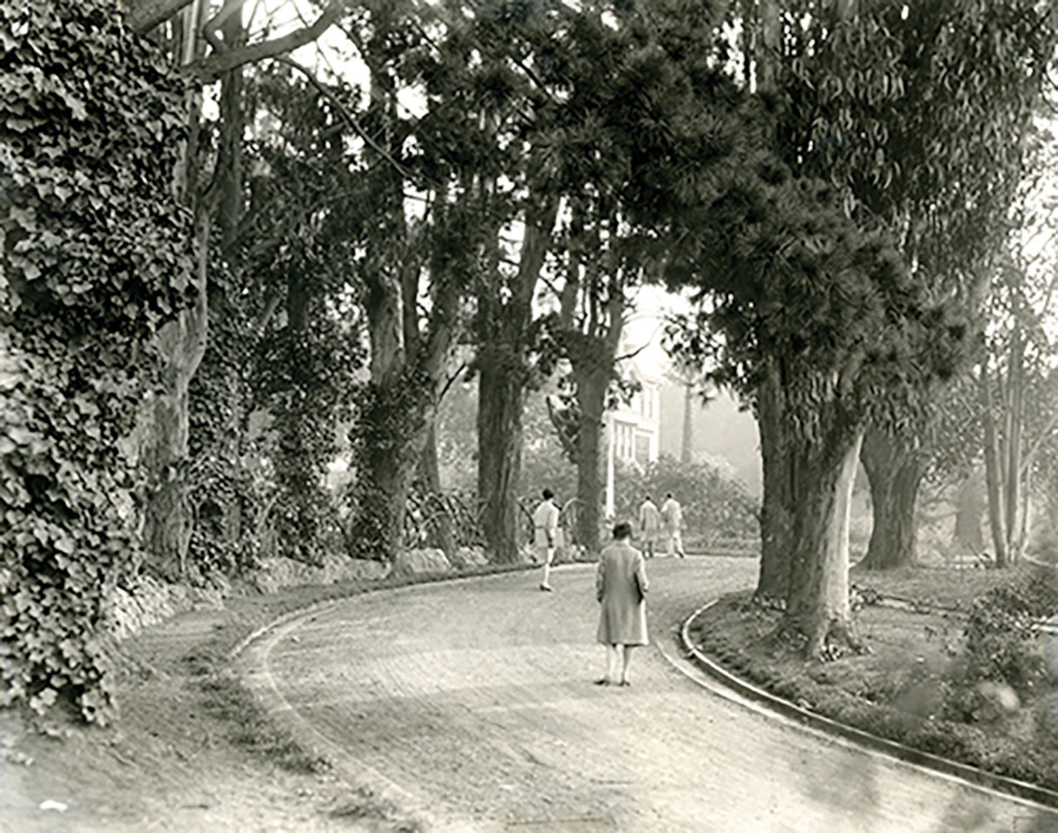 The tree-lined walkway to Macky Hall in 1926.