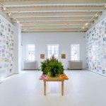 A photo of a serene gallery with newspaper clippings filling the walls and a table with plants in the center.