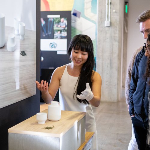 Senior Thesis Exhibitions