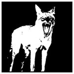 Radio Coyote