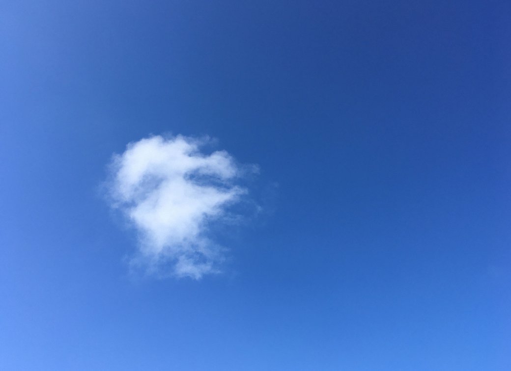 San Francisco, CA, 2:18 pm, October 24, 2020. By Connie Jeung-Mills, staff.