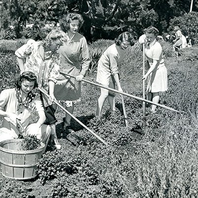 Working in the garden, 1943.