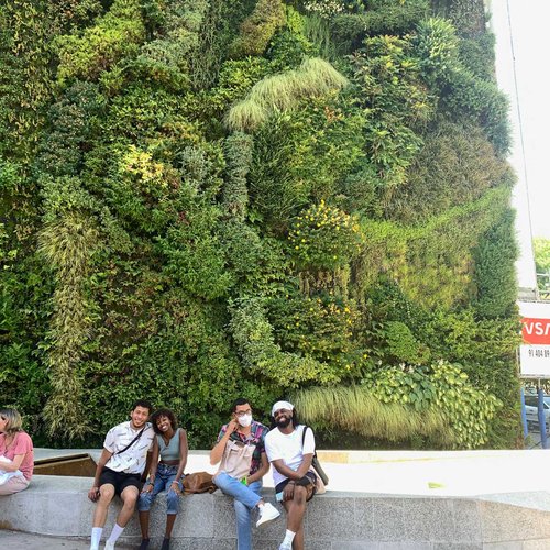 Spain Summer Study Abroad students seated in front of Patrick Blanc’s Le Mur Végétal at the Caixa Forum Museum in Madrid.