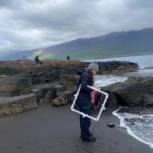 Zoology students from the University of Glasgow demonstrate how to measure microscopic marine species on the fjord’s black sand beach.