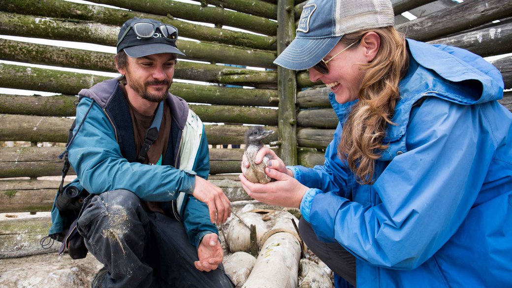 CCA faculty holding a seabird with the ceramic nest made in collaboration with CCA Ceramics and Oikonos