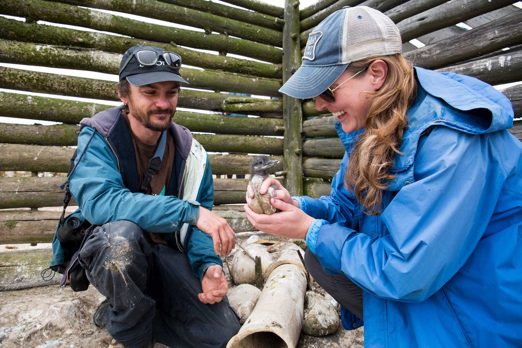 CCA faculty holding a seabird with the ceramic nest made in collaboration with CCA Ceramics and Oikonos.